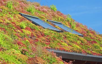 Wickham St Paul living roof systems